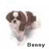 No, the dog is Bonny