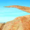 There was a mountain lion seen here not long ago! (2009)