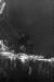 bw747712_small.jpg