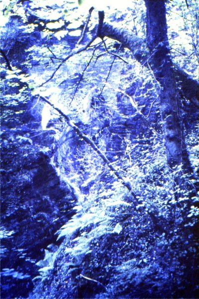 sldb21devilsbridge.jpg
