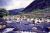 sldd03passofaberglaslyn_small.jpg