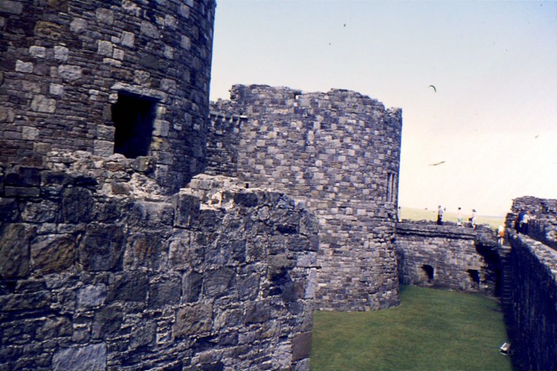 sldd08beaumariscastle.jpg