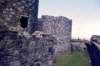 sldd08beaumariscastle_small.jpg