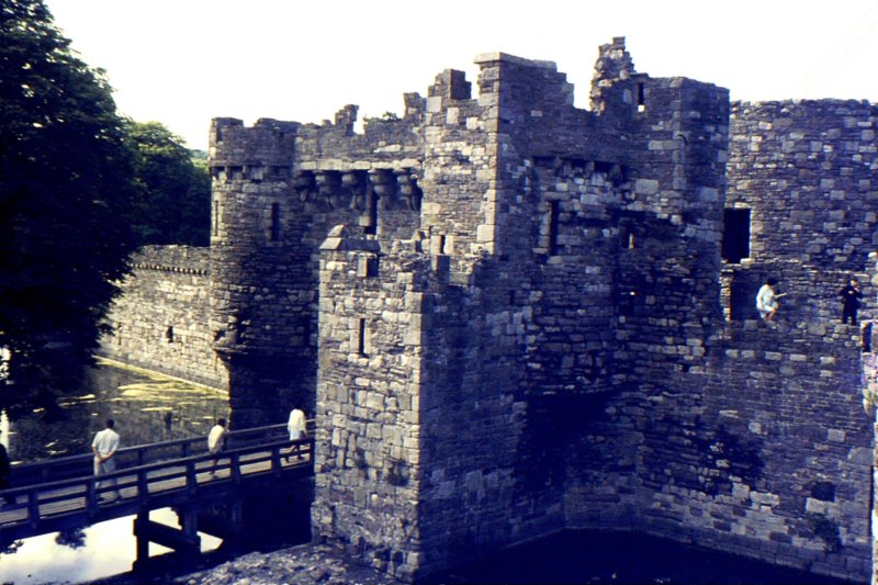 sldd09beaumariscastle.jpg